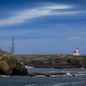 Cape Arago LighthouseLisa Saines