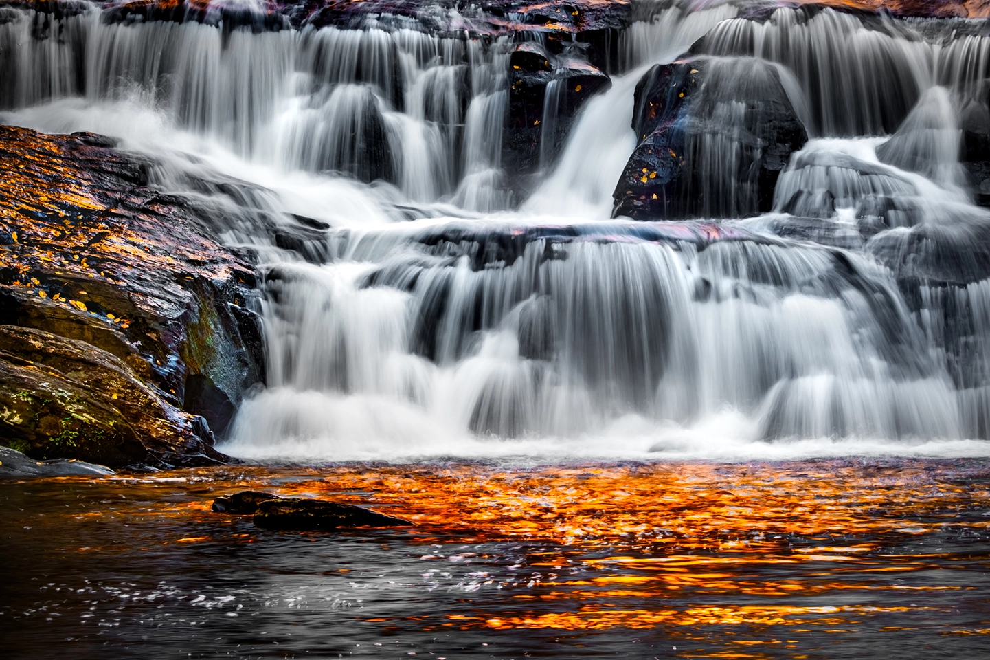 Fall Reflection Blog copy