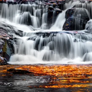 Fall Reflection_Lisa Saines