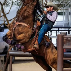 He's Ready_Lisa Saines