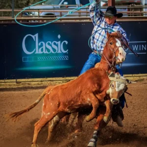 How Does This End_Lisa Saines