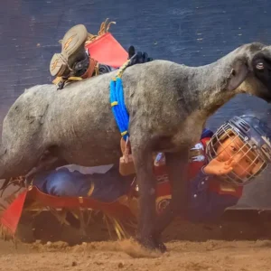 In The Moment_Lisa Saines