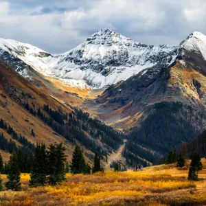 Seasons CollideLisa Saines