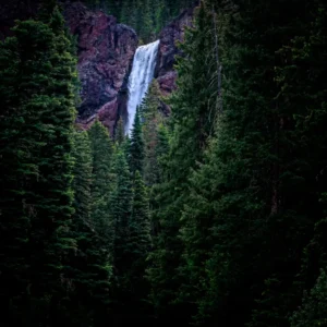 Treasure Falls_Lisa Saines