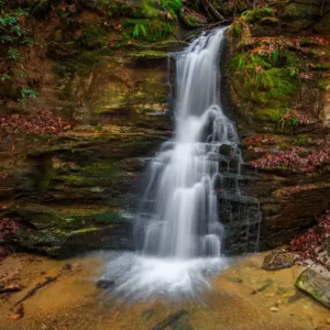 Warwoman Dell_Lisa Saines