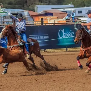 Your Turn_Lisa Saines